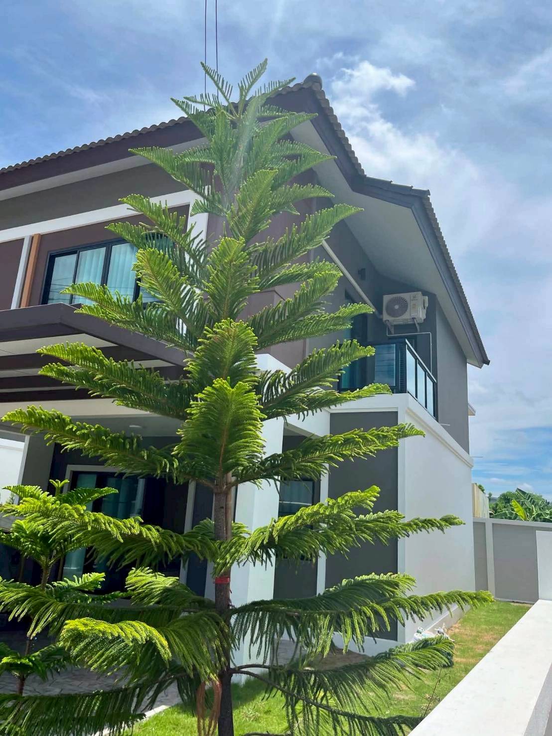 บ้านสวยใหม่ให้เช่า พร้อมอยู่ ใกล้ Payap University
